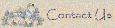 Contact Us